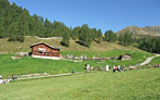 Festa delle malghe in Val Casies