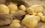 Patate pusteresi
