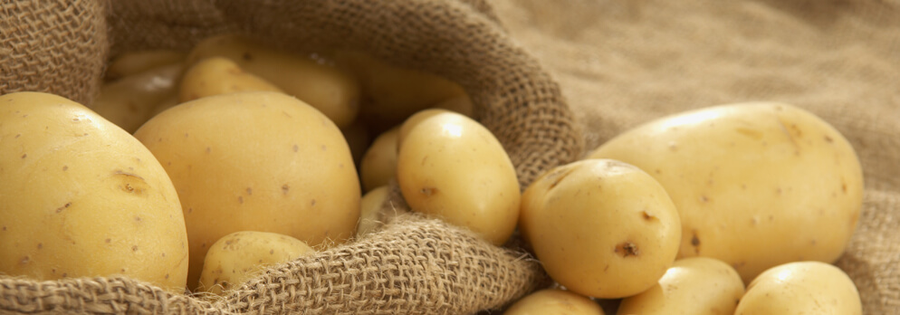 Patate pusteresi