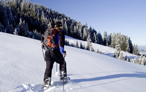 Modo più bello di camminare sulla neve in Val Pusteria