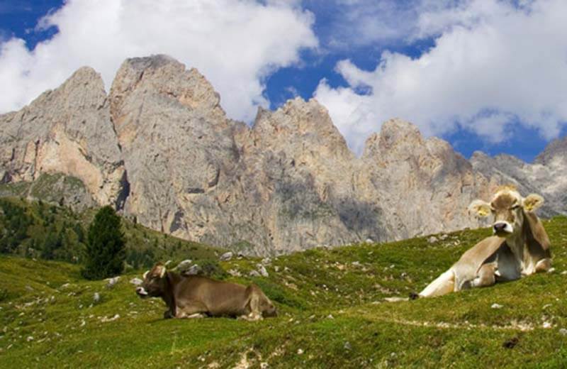 Naturpark Puez Geisler