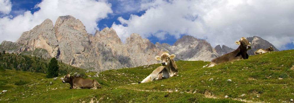Naturpark Puez Geisler in der Ferienregion Alta Badia