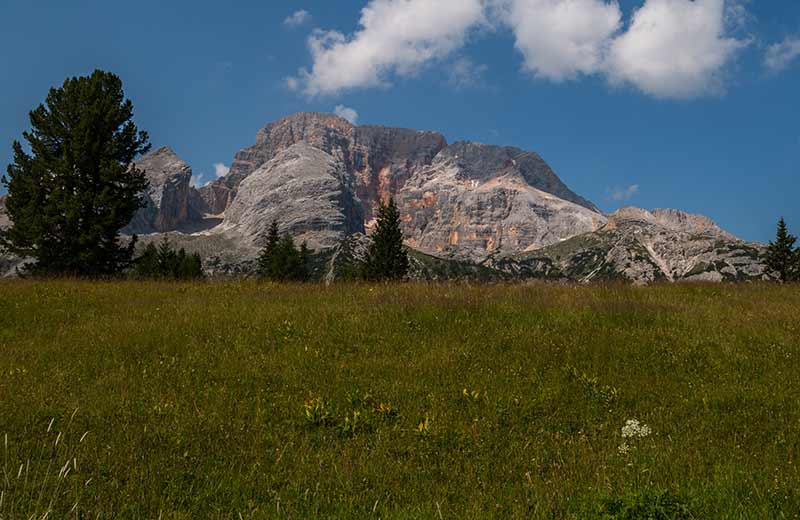 Die Plätzwiese - das beliebte Hochplateau