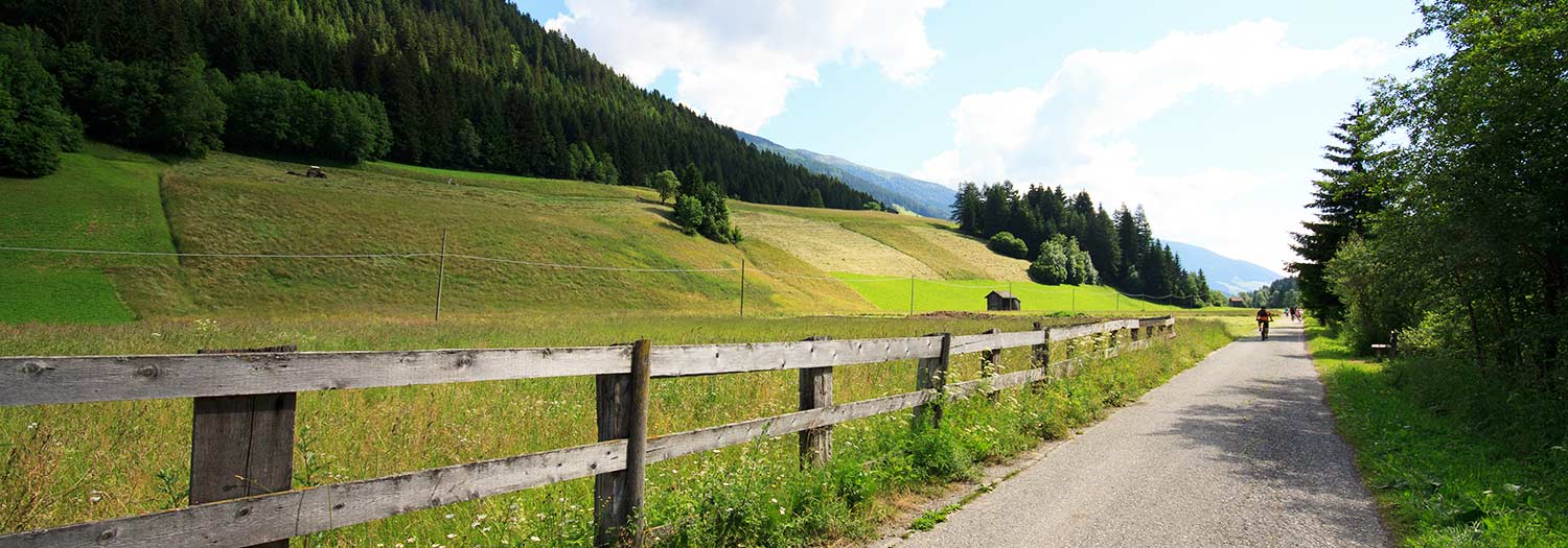 Drauradweg Toblach-Lienz