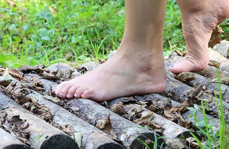 Kneipp-Parcours in Reischach