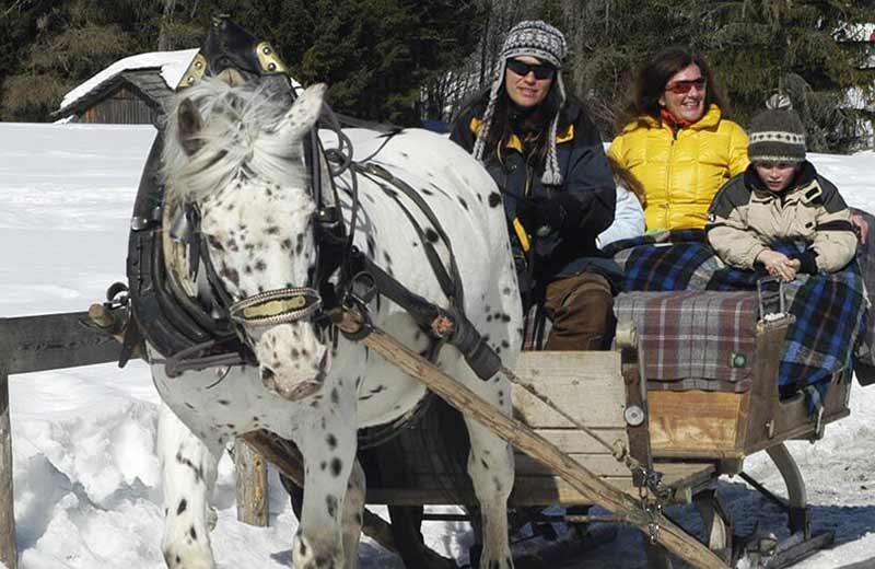 Reiten