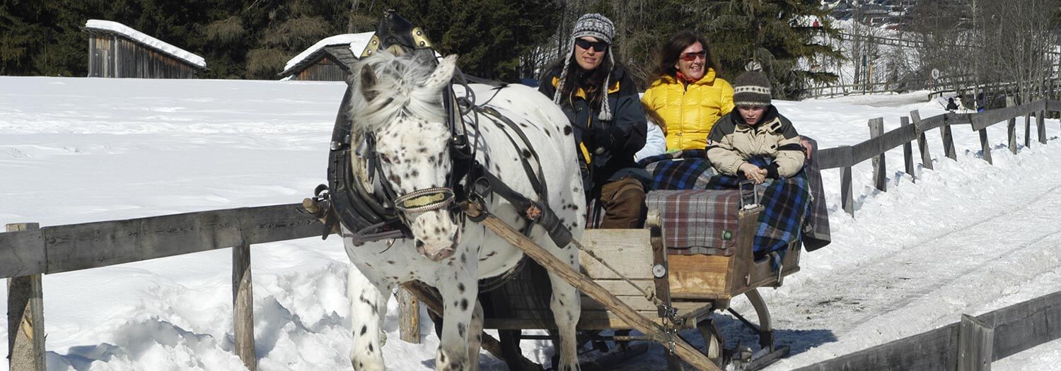 Reiten in der Urlaubsregion Dolomiten