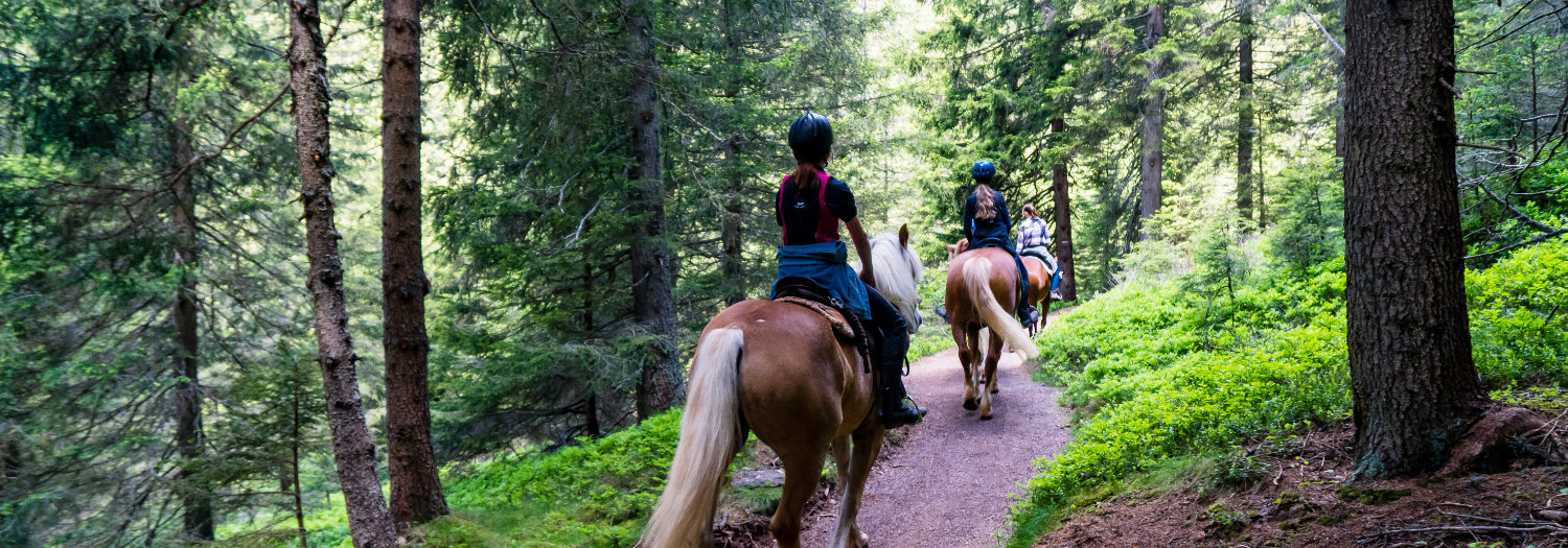 Reiten in der Urlaubsregion Dolomiten