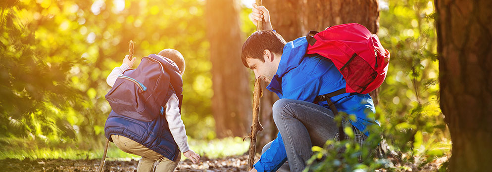 Rundwanderung am Bergl