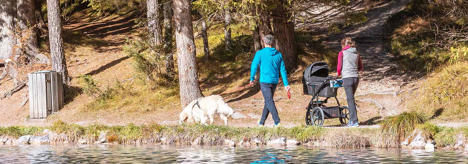 Wandertipps mit Kinderwagen