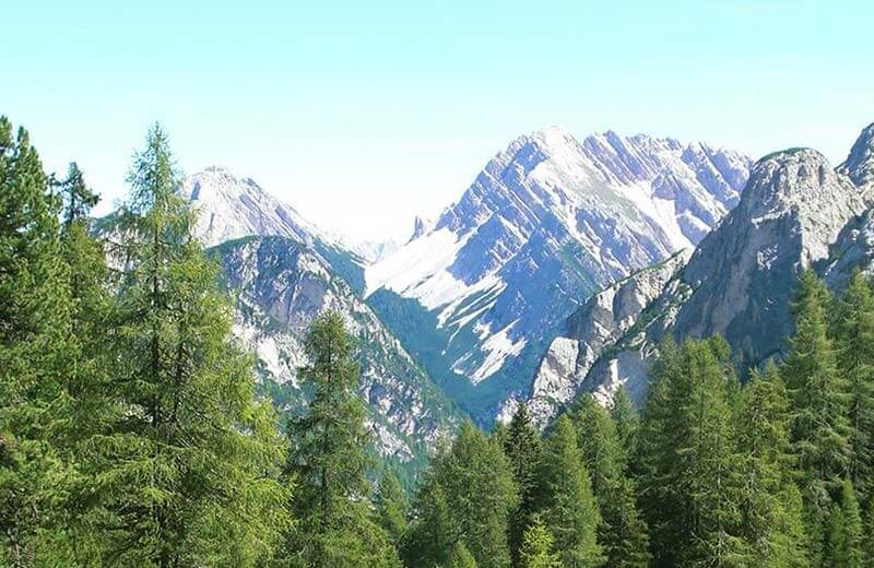 Zur Grünwaldalm bei Prags