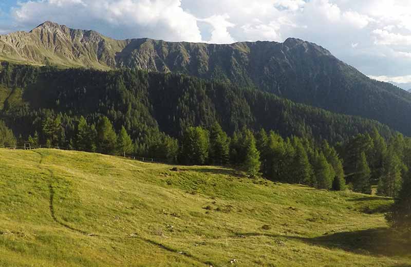 Regione dolomitica Plan de Corones