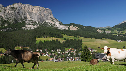 pedraces alta badia