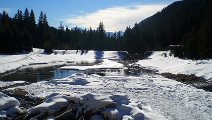 malga laercher