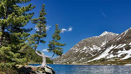 lago obersee primavera