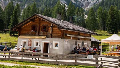 escursione malga foresta