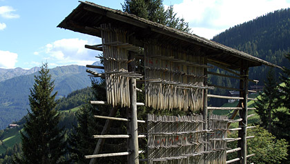 essiccatoio foraggio