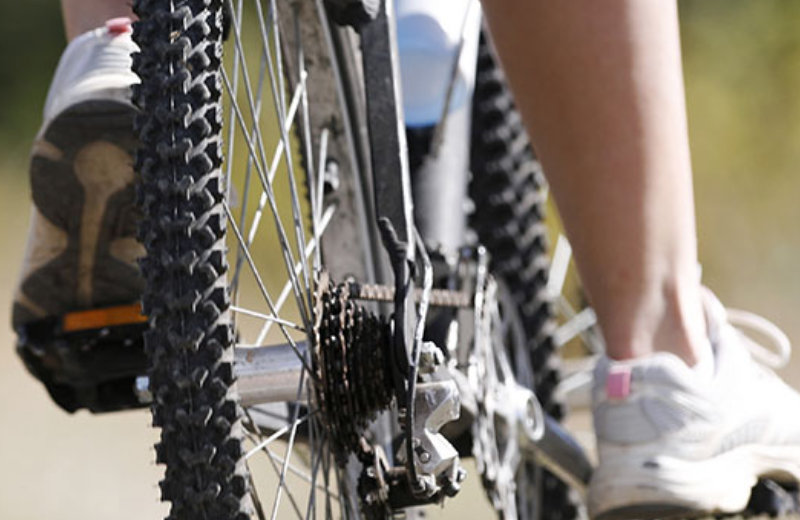 Offerte per le vacanze in bici