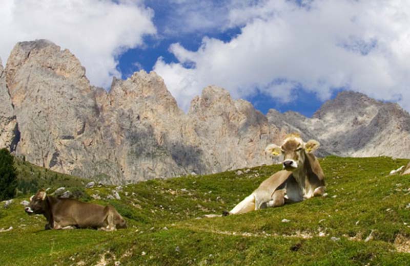 Parco naturale Puez Odle