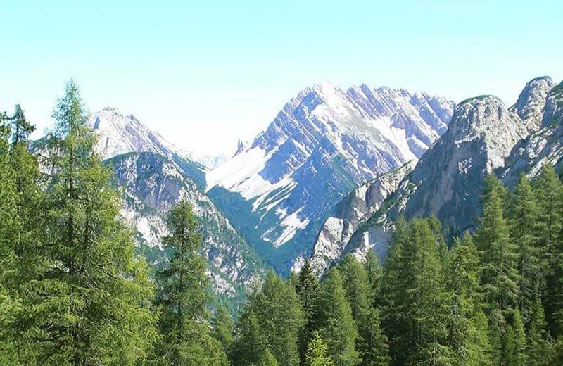 Escursione alla Malga Foresta