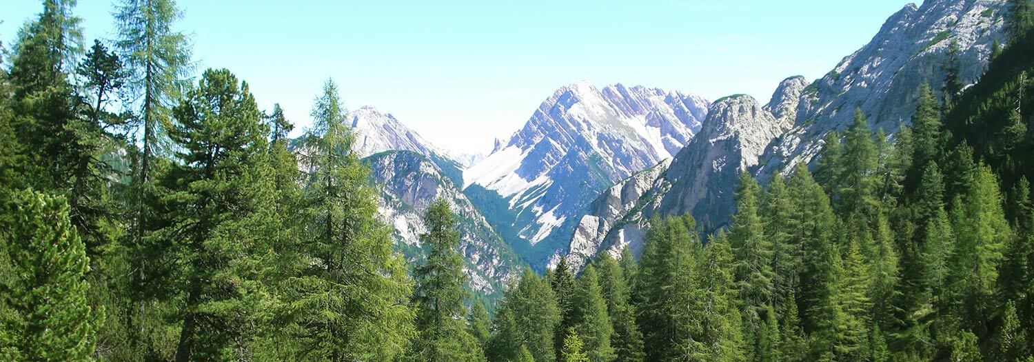 Escursione alla Malga Foresta