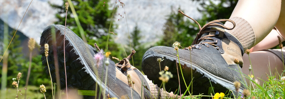 Escursione alla malga di Poja