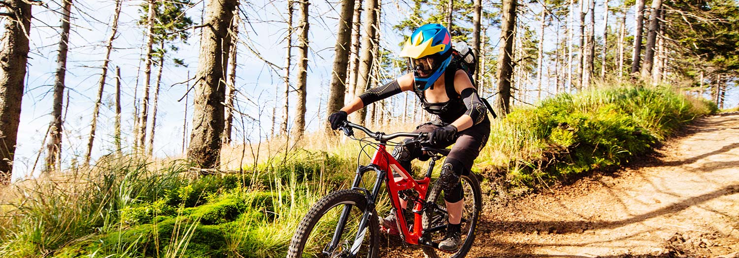 Freeride Trail Herrensteig