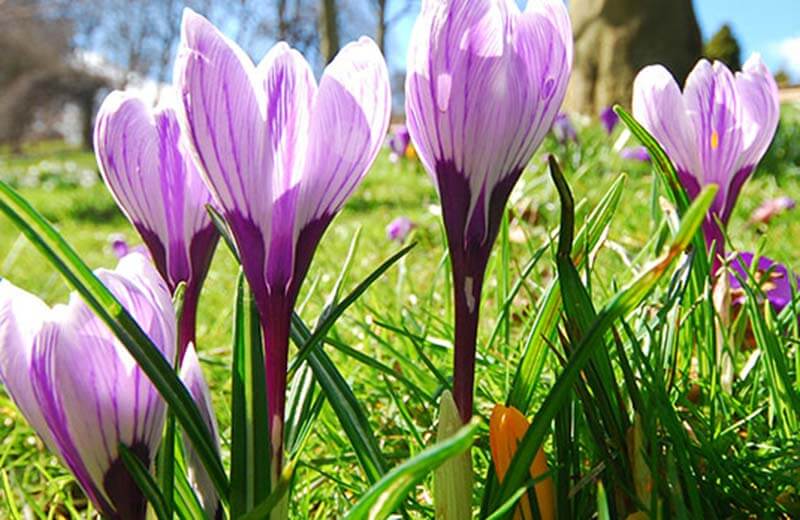 Sentiero Lago Tristach