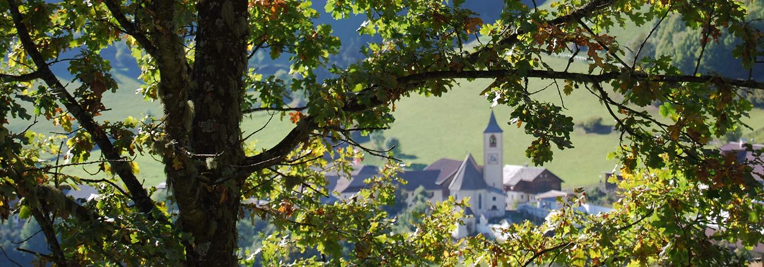 Perca in Val Pusteria
